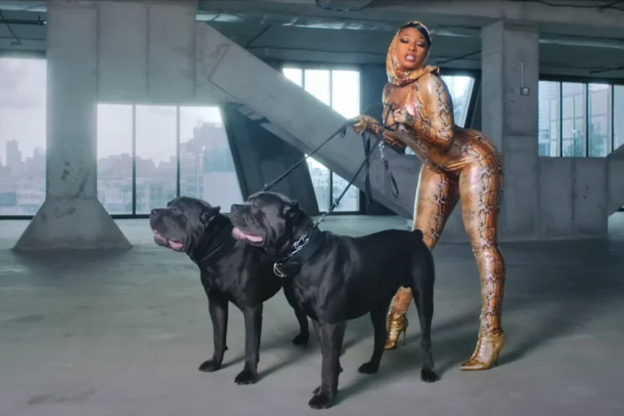Celebrities with Cane Corsos, Megan Thee Stallion with a Cane Corso