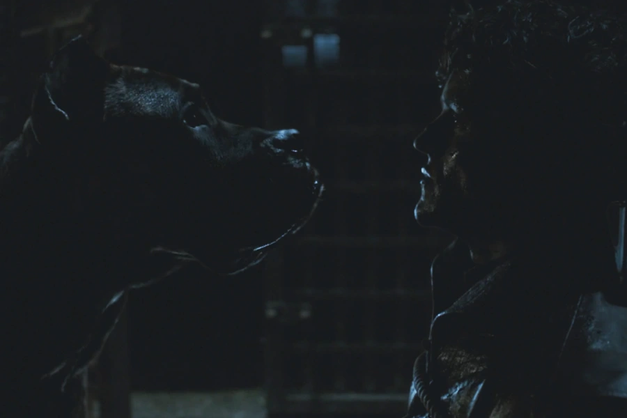 What Breed of Dog Killed Ramsay Bolton in Game of Thrones