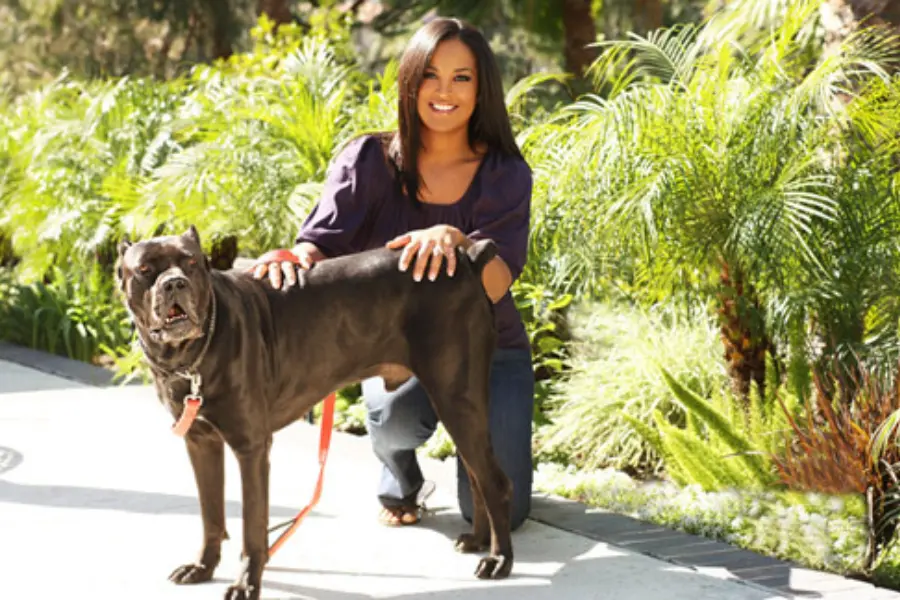 Laila Ali with her Cane Corso dog, famous people with Cane Corsos.