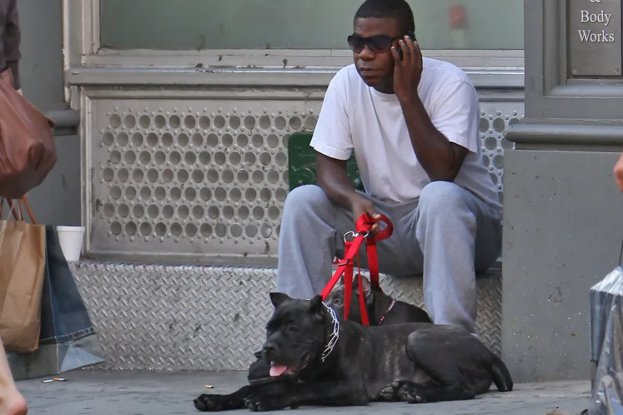 Famous comedian Tracy Morgan with his two Cane Corsos.